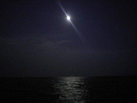 良型クロダイ4枚&メジナ30cm!!