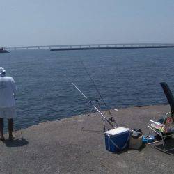 食品コンビナートでの釣り