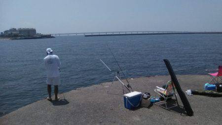 食品コンビナートでの釣り