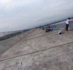 ♪サバサバ～。