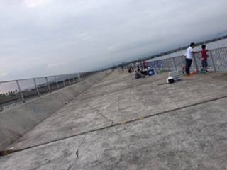 ♪サバサバ～。