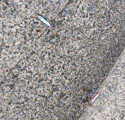 またサバ＆ミラクル