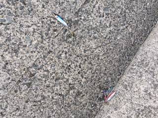 またサバ＆ミラクル