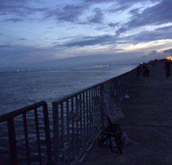 結局サバのみ。