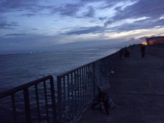 結局サバのみ。