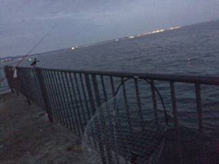 ジギングで・・・タコ。