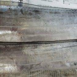 湾内ではタコ３匹太刀魚はシブいです。