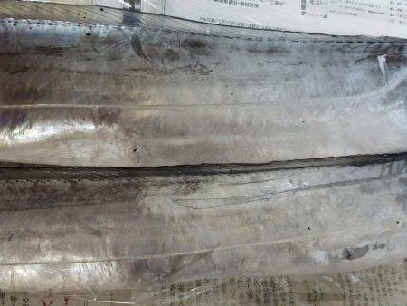 湾内ではタコ３匹太刀魚はシブいです。