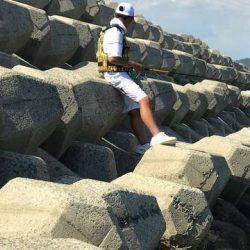 今の時期、昼間はダメ！