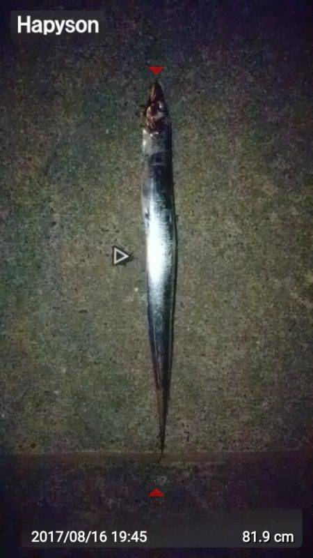 タチウオ好調！