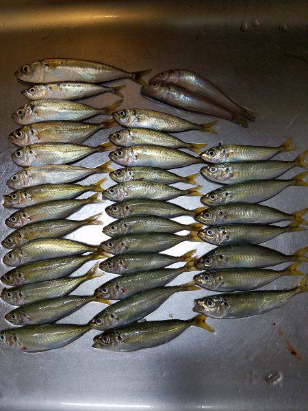 ファミリーフィッシング&キッシングリベンジ