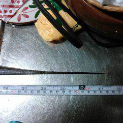 ジギングで夕マヅメにワカシ、暗くなって太刀魚ゲット！