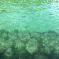 片添浜北の突堤にてかご釣り