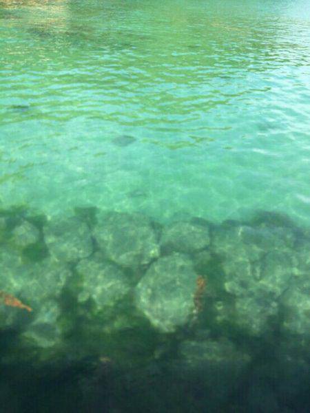 片添浜北の突堤にてかご釣り