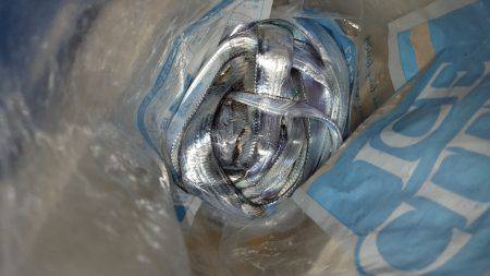 やっぱりMNGはすごい‼