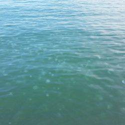 ボーッとしてたらいきなり