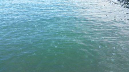 ボーッとしてたらいきなり