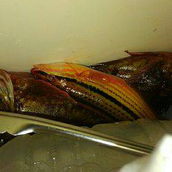 コスモにて探り釣り