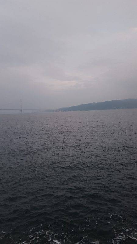 やったりましたわ〰‼