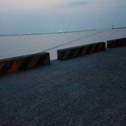 オクトパッシング