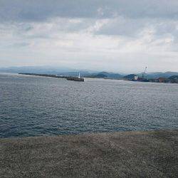 本日も五目達成❕