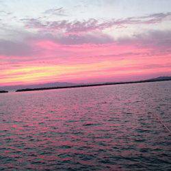 オールリリース(~_~;)