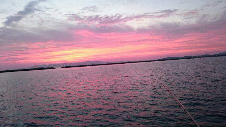 オールリリース(~_~;)