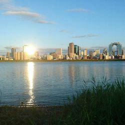 夕涼みキビレは高活性