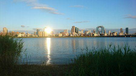 夕涼みキビレは高活性