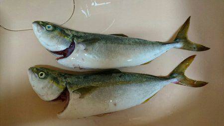 スランプ脱出？