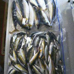 リニューアルオープン