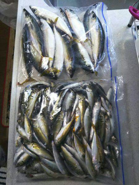 リニューアルオープン