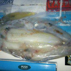 時合いを外すとこんなもんです(笑)