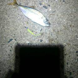 確実に成長している