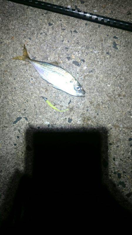 確実に成長している