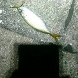 やっぱり遅い。