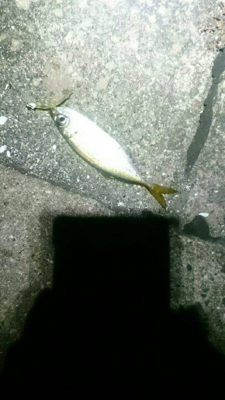 やっぱり遅い。