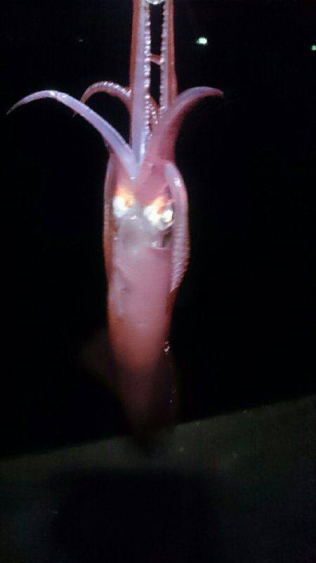 このままでは…