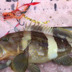 マイボートでタイラバ、ジギング