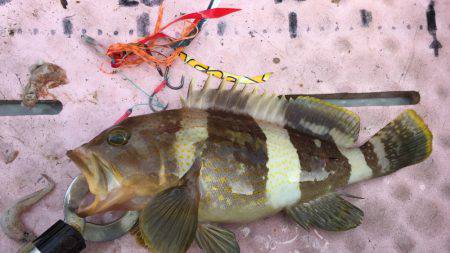 マイボートでタイラバ、ジギング