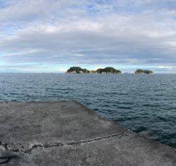 タチウオ2匹とカマス