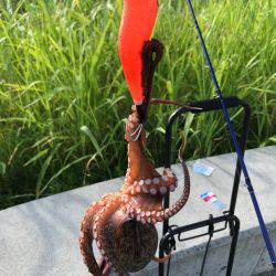 ナイト&デイ フルコース笑