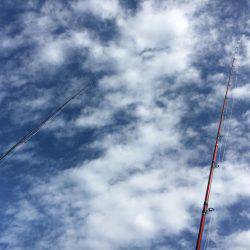 落とし込み釣り