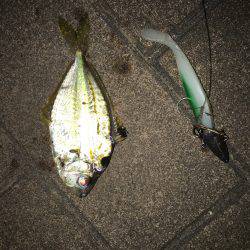 ポートアイランド