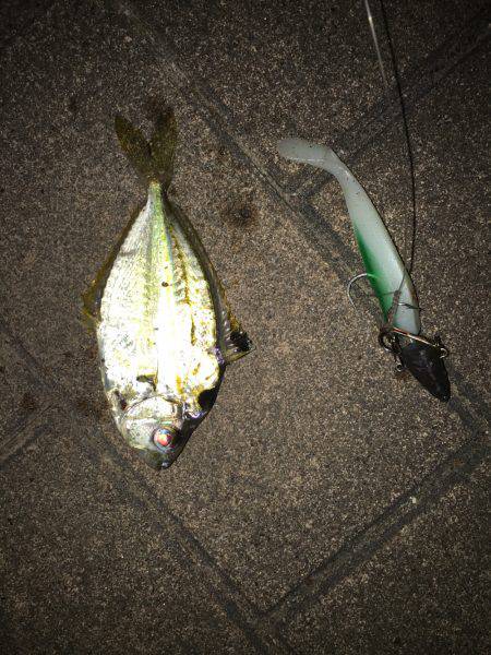 ポートアイランド