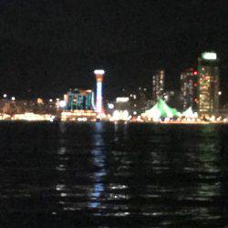 爆釣のはずが・・・