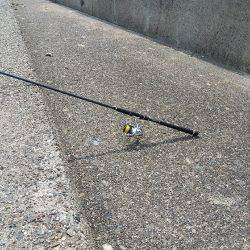 キス、マゴチからのぐ〜ふ〜