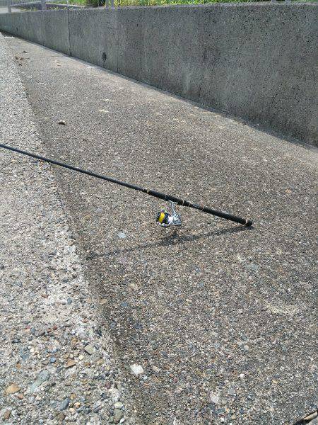 キス、マゴチからのぐ〜ふ〜