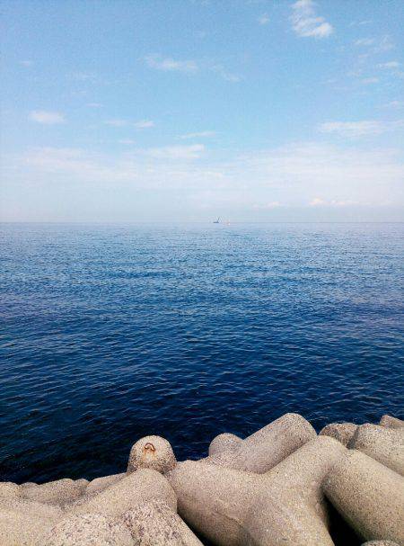 ぎりぎりハマチ(*´艸｀*)