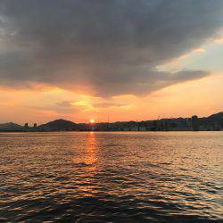 ワインドジャンキー